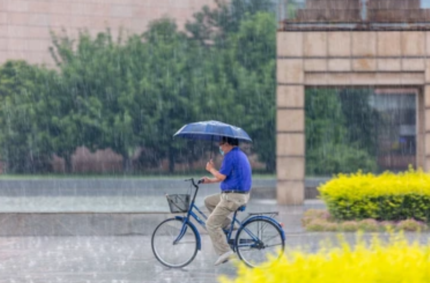 ingevorderd rijbewijs